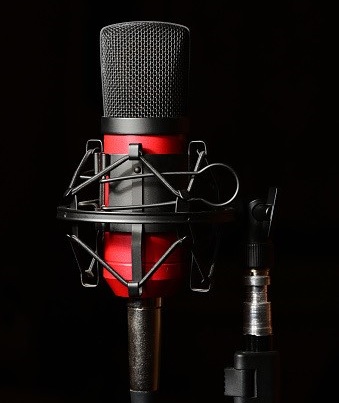 Radio Bizou Microphone
